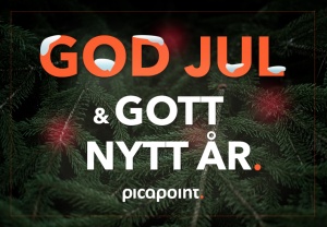 Picapoint_godjul